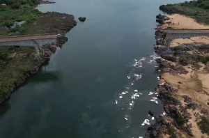 Veículos leves terão gratuidade na travessia de ponte entre MA e o TO