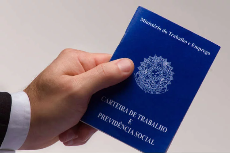 Recorde de empregos com certeira assinada no país em 2024