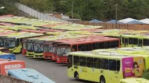 Justiça do Trabalho determinar a circulação de 80% da frota de ônibus em São Luís