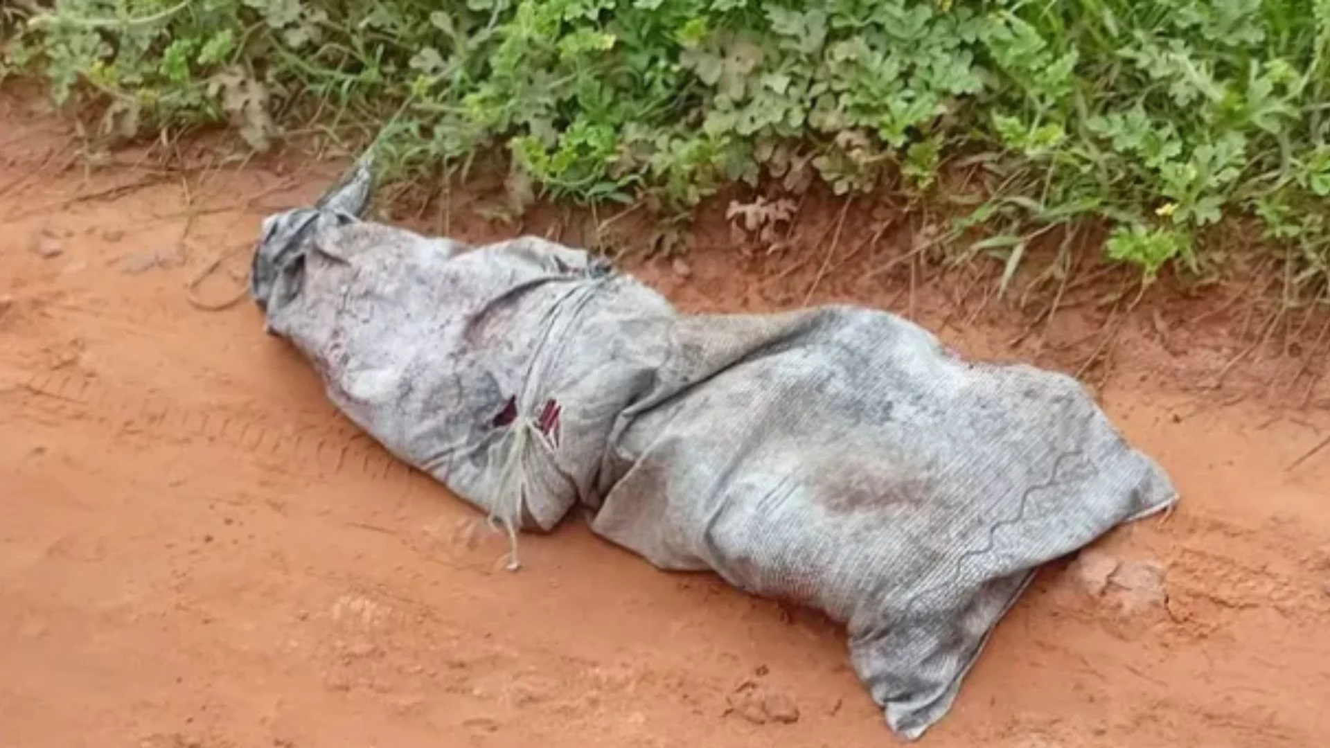 Corpo de homem é encontrado com sinais de execução dentro de saco