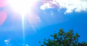 Janeiro de 2025 foi o mês mais quente do planeta