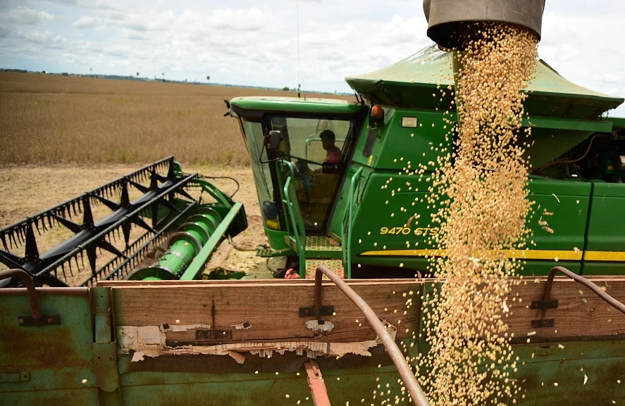 Brasil registra aumento na safra de grãos