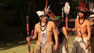 Operação tenta expulsar invasores da terra indígena Arariboia