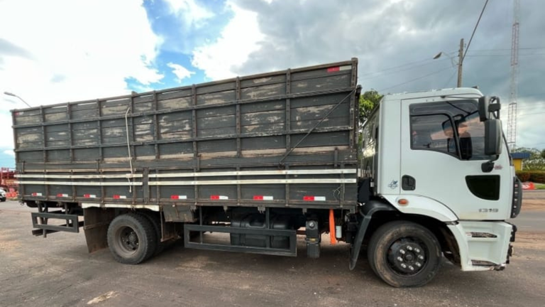 PRF flagra transporte irregular de animais na BR-010