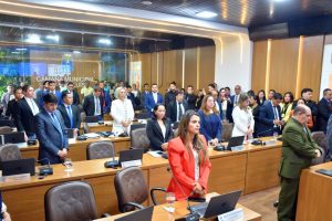 Vetos do Poder Executivo a Projetos de Lei aprovados pela Câmara de São Luís são votados