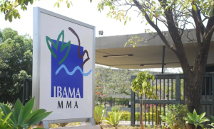 Ibama divulga locais de prova do concurso 2025 para 460 vagas