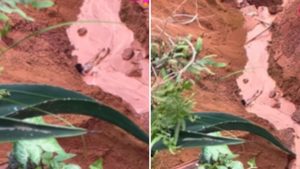 Jovem cai dentro de voçoroca de 80 metros em Buriticupu