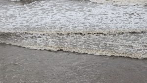 Análise não identifica microrganismos na água do mar de São Luís