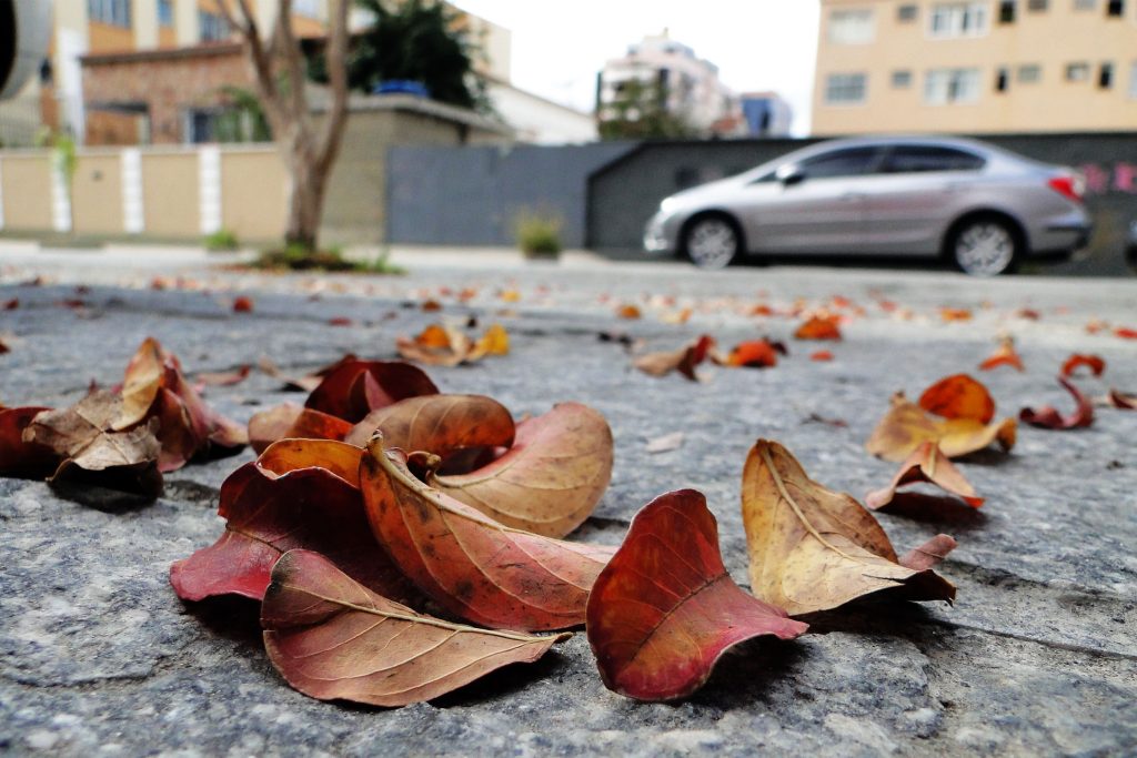 Outono começa com previsão de temperaturas acima de média