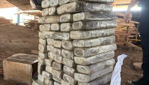 Polícia Civil incinera cerca de 700 kg de entorpecentes em Imperatriz