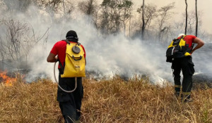 VÍDEO: Maranhão terá R$ 45 milhões do Fundo Amazônia para combater incêndios