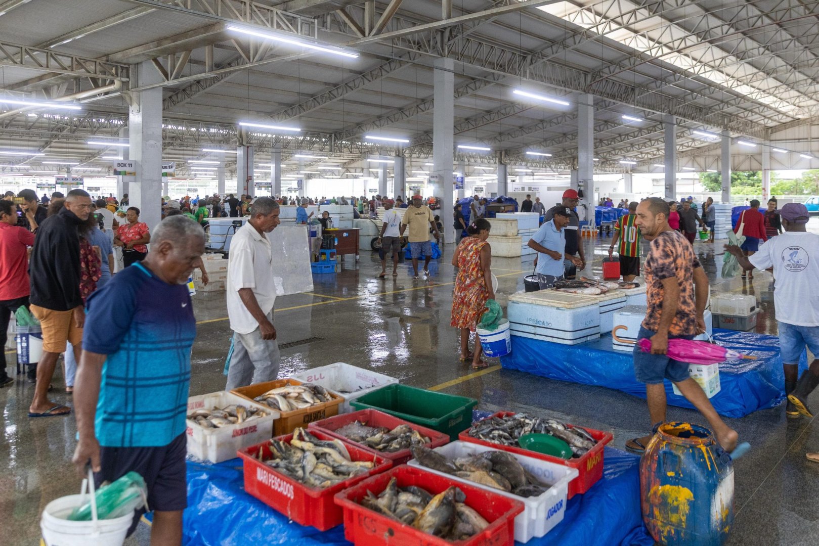 Entreposto Pesqueiro fortalece cadeia de pescados no Maranhão