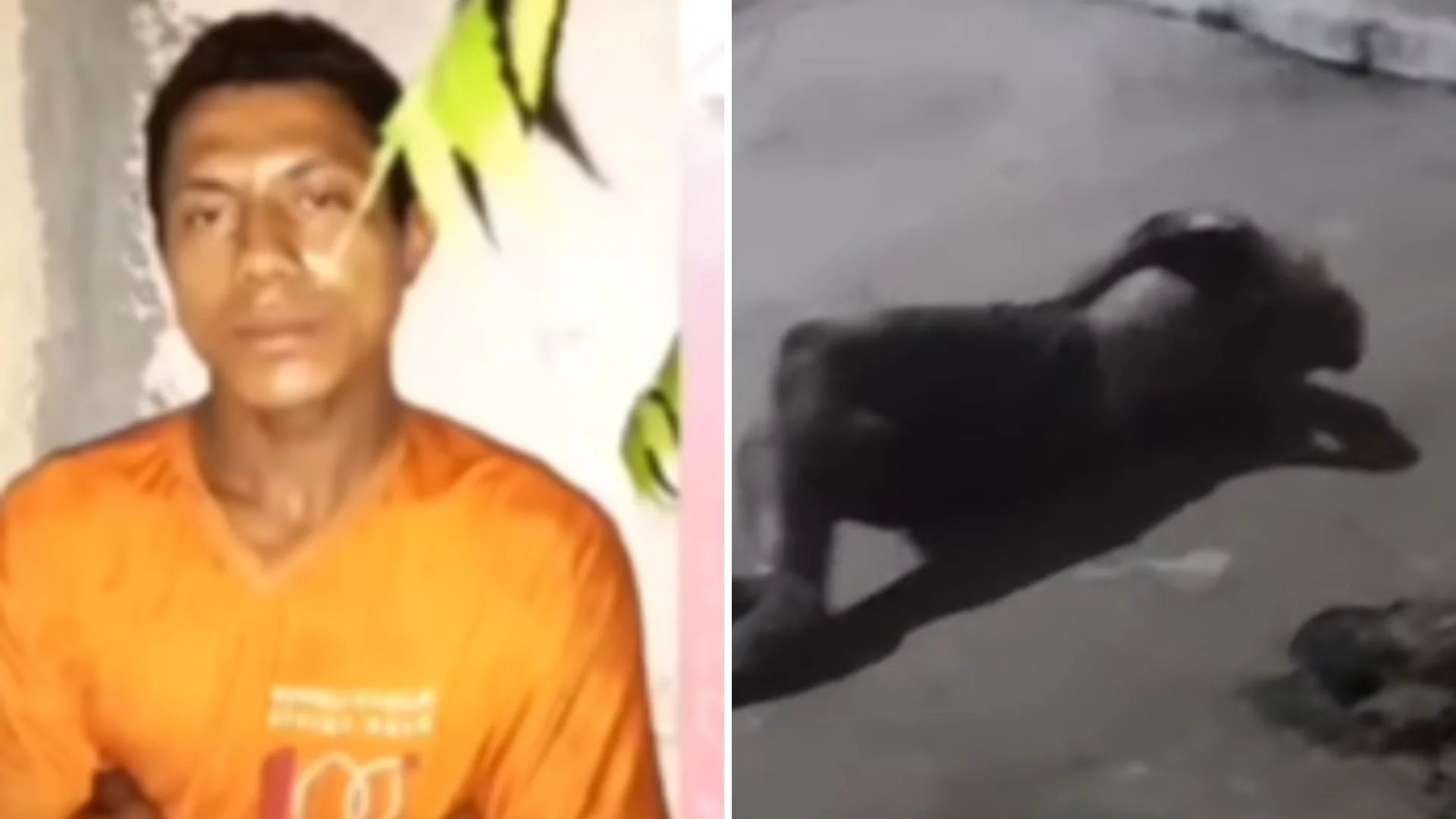 Suspeito de furto morre após cair de telhado de universidade