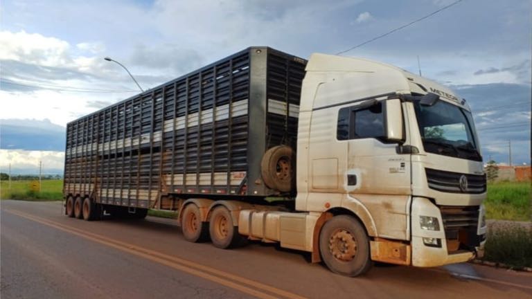 PRF flagra transporte irregular de gado bovino em Açailândia