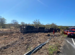 Motorista morre após caminhão tombar na BR-230