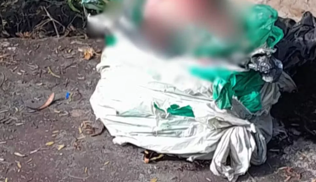 Recém-nascido é encontrado morto dentro de sacos de lixo na BR-222