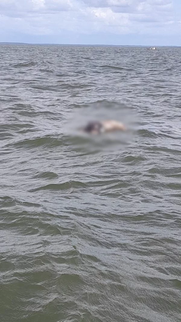 Bombeiros fazem buscas em Panaquatira após corpo ser avistado no mar