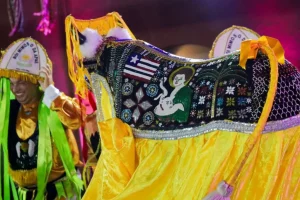 Bumba-Boi da APAE celebra 30 anos