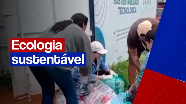 Alunos de faculdade participa de aula extra curricular, sobre prática ecológica sustentável