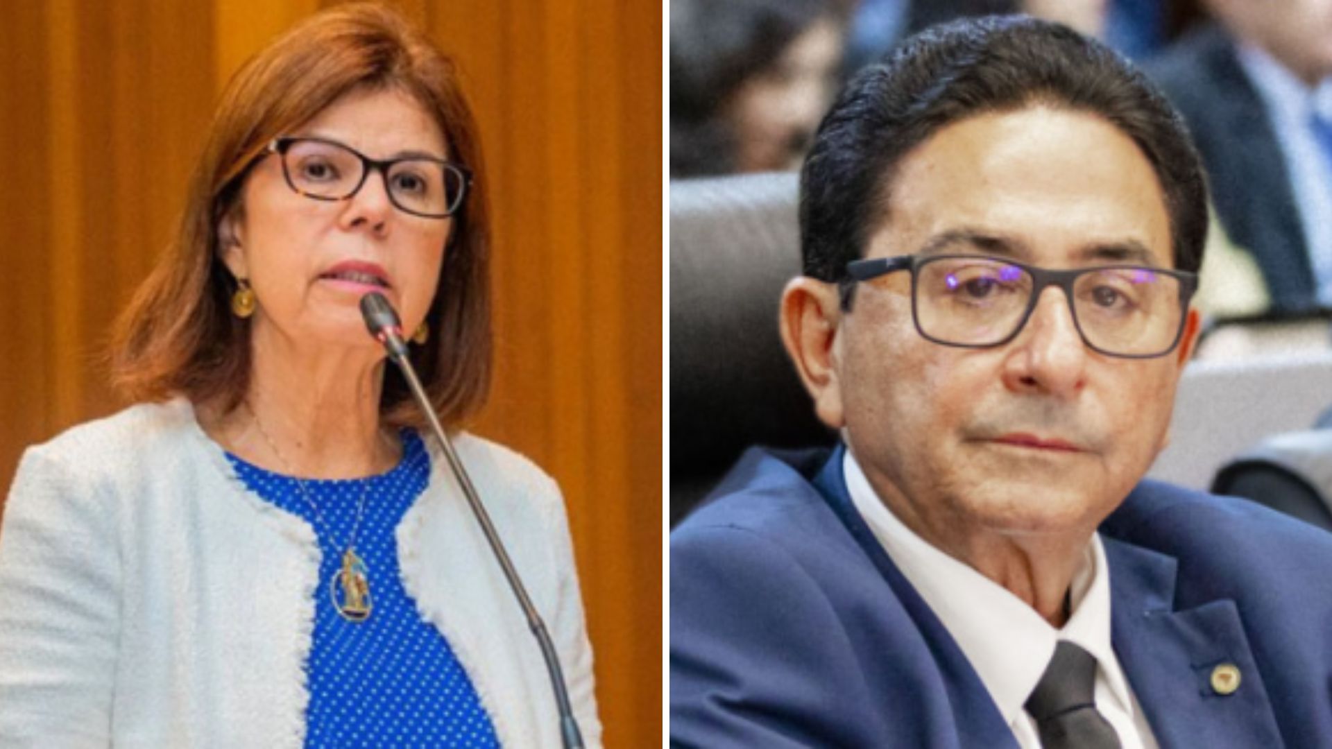 Helena Duailibe assume vaga de Hemetério na Assembleia Legislativa nesta quarta (11)