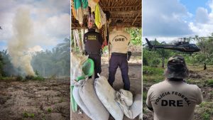 Polícia Federal destrói mais de 65 mil pés de maconha no Maranhão