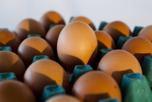 São Luís é uma das capitais onde o preço do ovo mais subiu