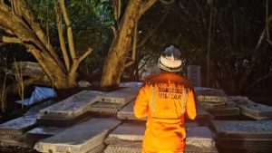 Resgate de maranhense em topo de árvore já dura mais de 60 horas