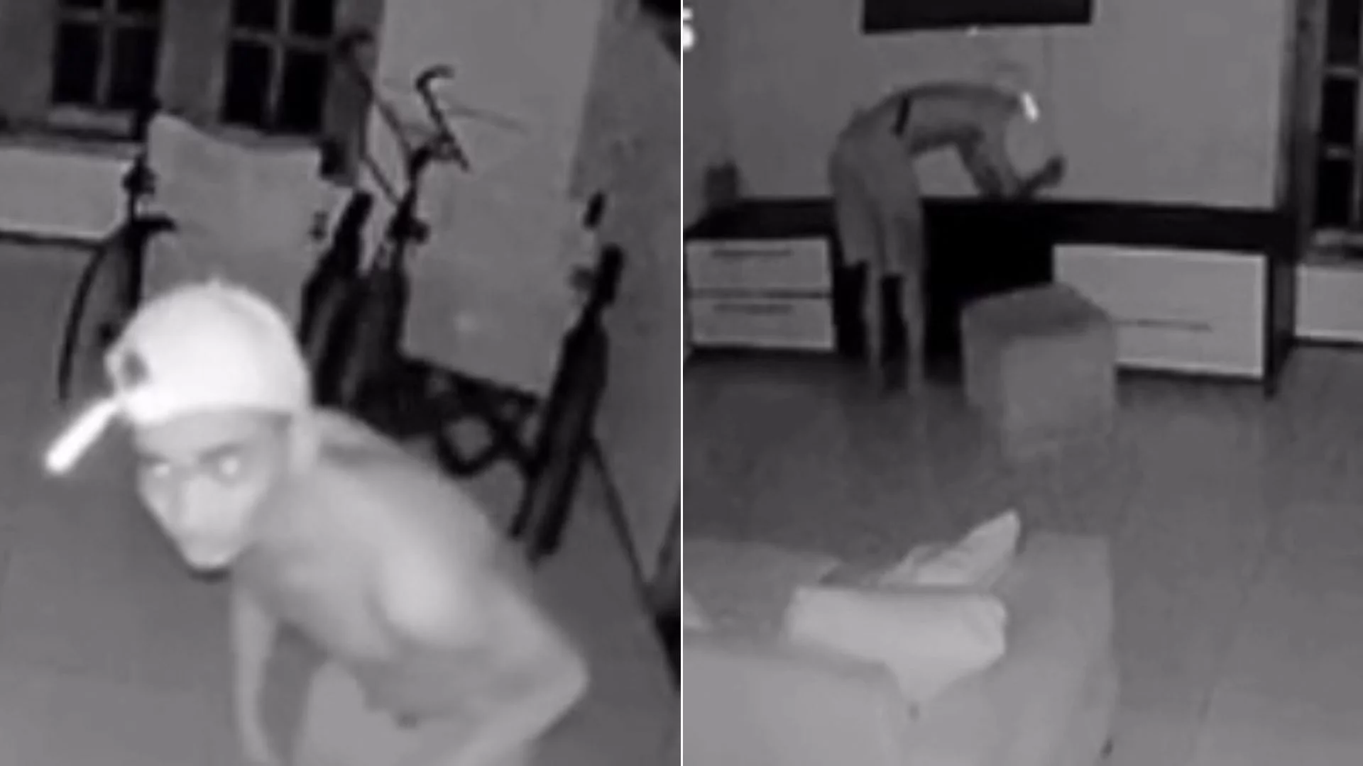 VÍDEO: Criminoso invade casa de irmãos cadeirantes e rouba TV, em São Luís