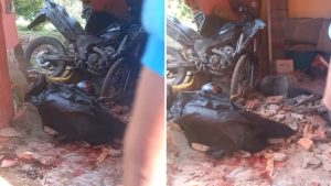 VÍDEO: Motociclista morre após colidir moto contra parede de residência
