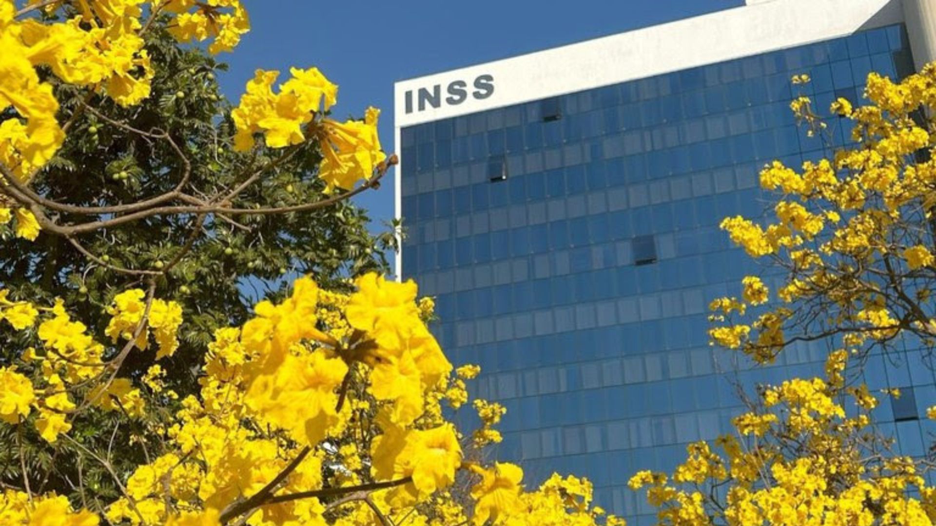 Mais de 24 mil no MA aderem a acordo do INSS