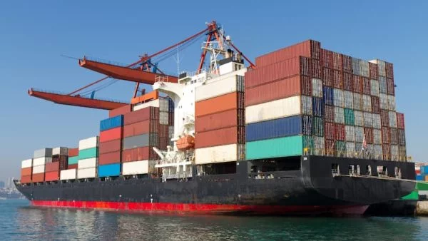 Exportação de pescados brasileiros para os EUA é suspensa