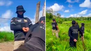 Polícia destrói roça com 10 mil pés de maconha e prende trio