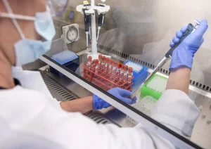 USP testa vacina promissora contra zika em laboratório