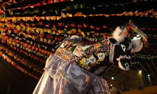 Bumba Meu Boi do Maranhão recebe certificado da Unesco