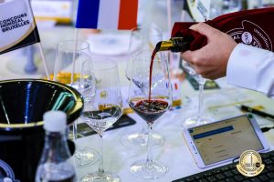 Vinhos brasileiros fazem história em premiação internacional