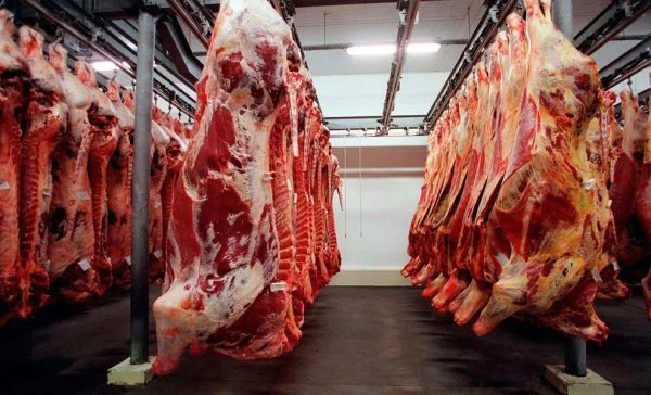 Exportação de carne bovina cresce e atinge US$ 1,4 bilhão