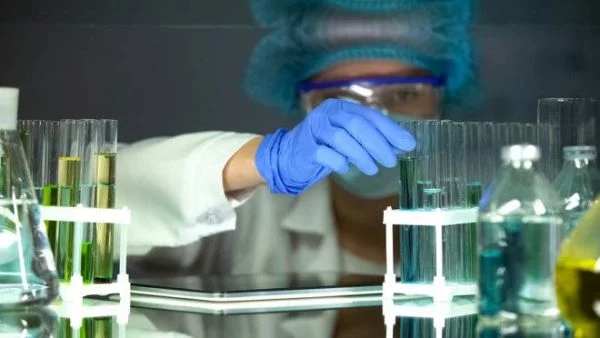 Fapema impulsiona crescimento científico e popularização da ciência no MA