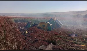 Avião da FAB cai após choque em voo