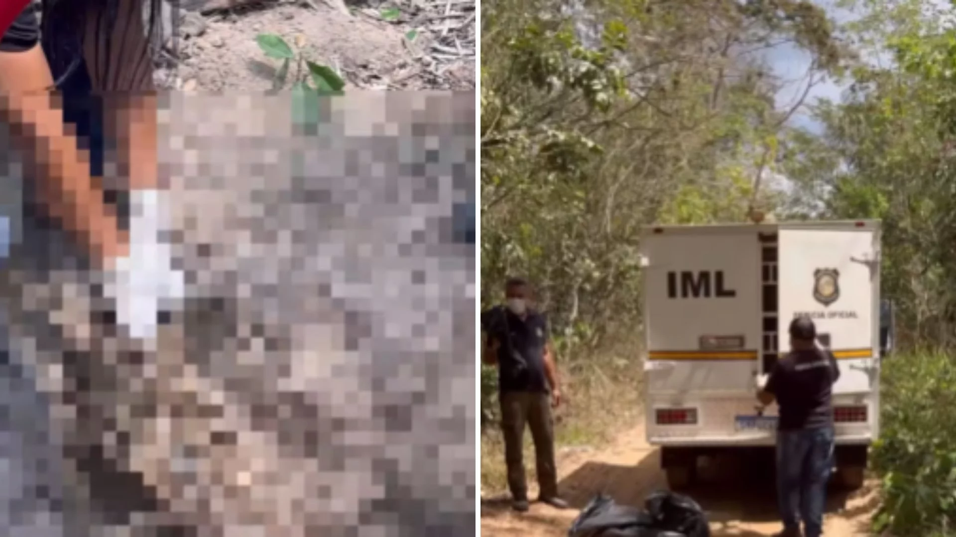 Dois corpos esquartejados são encontrados em área de mata