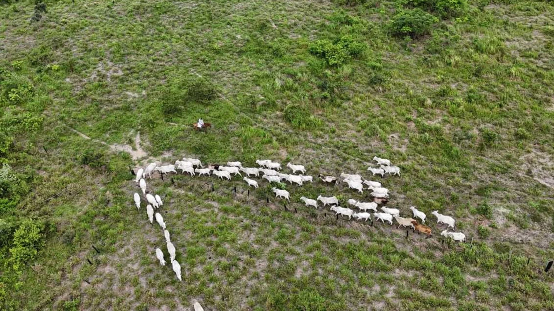 Proteção dos povos indígenas é debatida no Maranhão