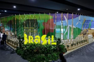 Busca por COP30 dispara