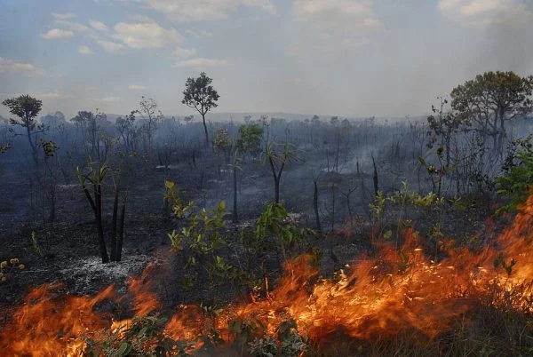 Incêndio na Chapada dos Veadeiros é contido após queimar 900 hectares