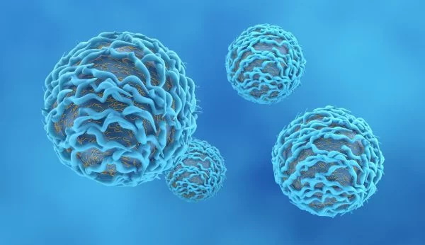 Estudo liga imunidade ‘jovem’ em idosos a doenças autoimunes