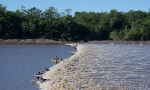 Arari leva Pororoca ao Salão do Turismo