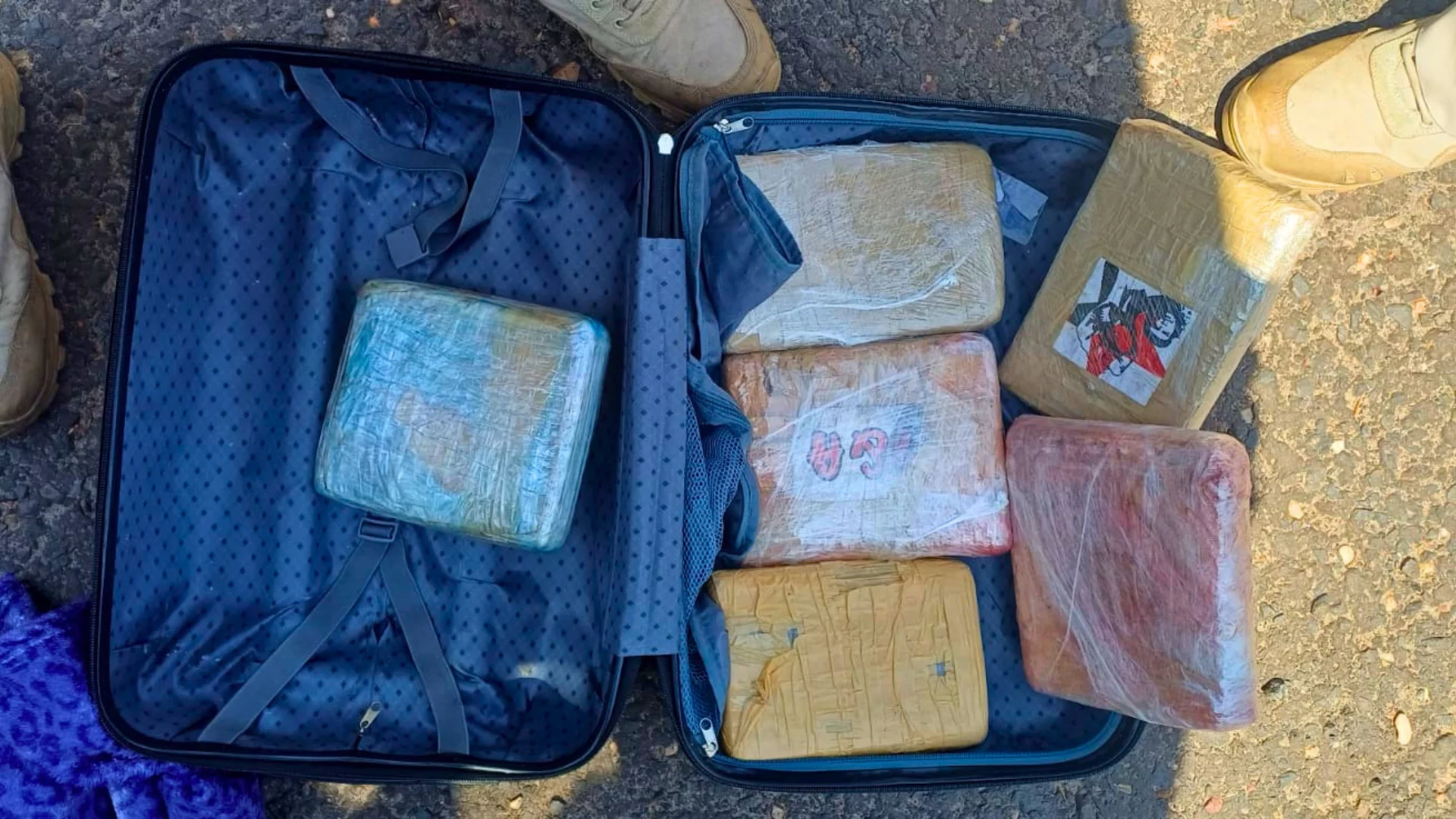 Passageira é presa com 10kg de maconha em ônibus na BR-316