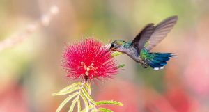 Primavera começa com ondas de calor e baixa umidade no país