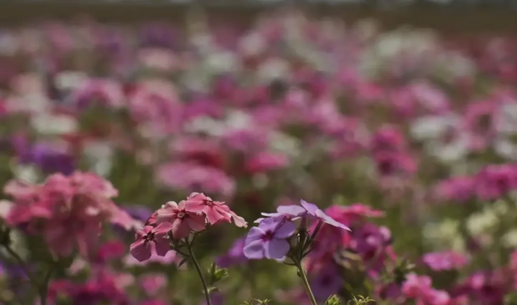 Primavera começa com chegada de frente fria, temporais e fortes ventos
