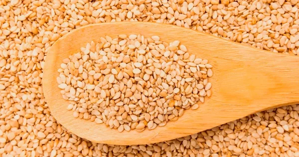 Amazônia inspira possível remédio contra AVC