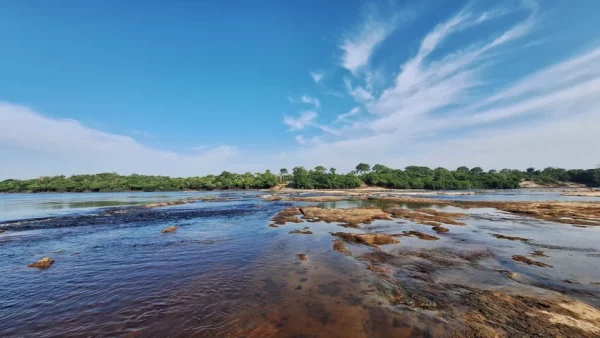 Inpe registra queda no desmatamento dos dois principais biomas