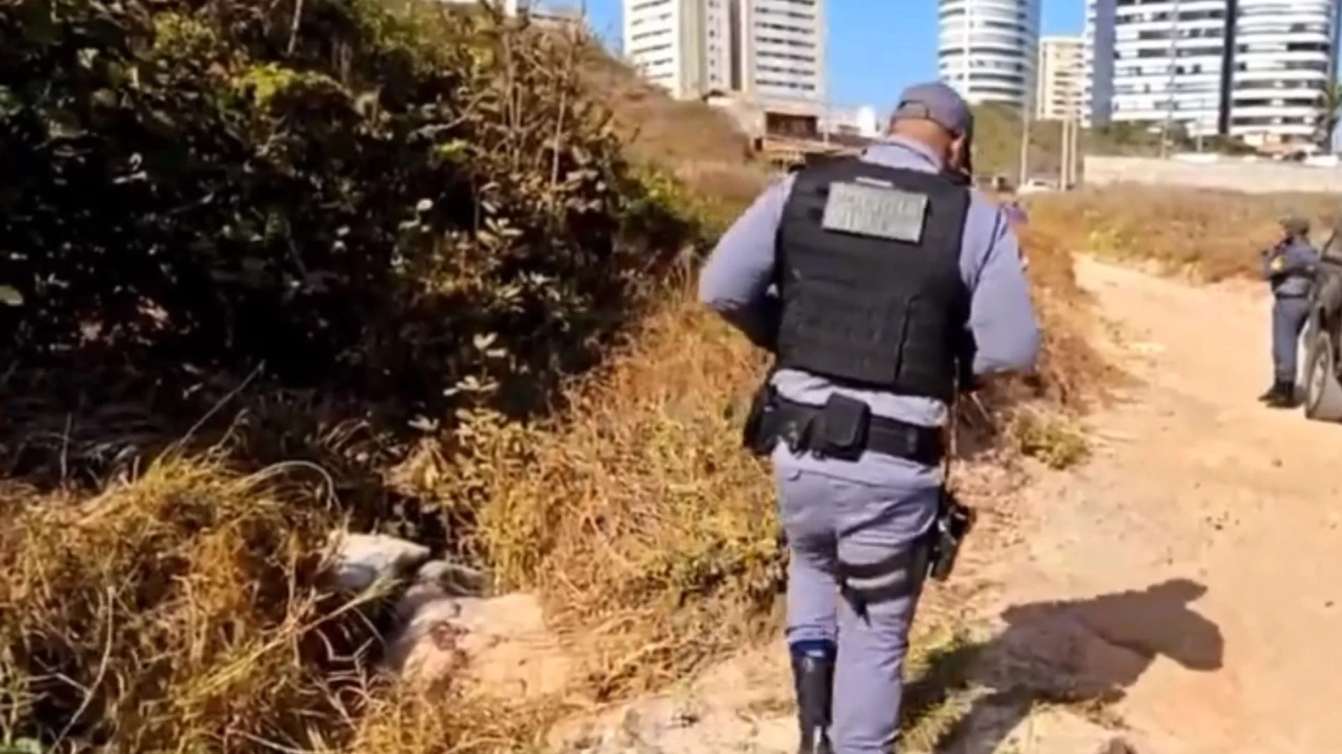 VÍDEO: Corpo de cachorro em lençol mobiliza polícia em São Luís